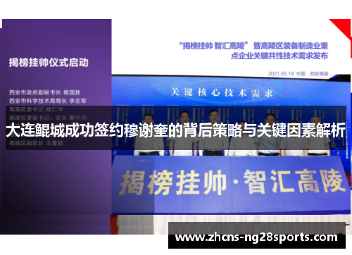 大连鲲城成功签约穆谢奎的背后策略与关键因素解析