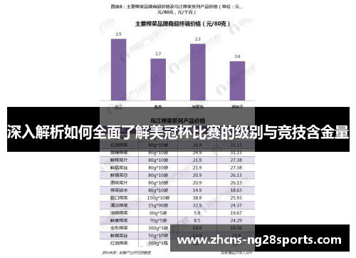 深入解析如何全面了解美冠杯比赛的级别与竞技含金量